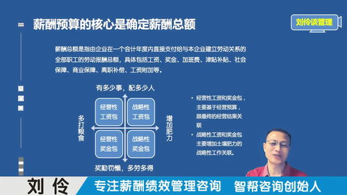 薪酬绩效体系设计咨询机构 第11集 头部企业如何做薪酬预算