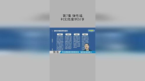 薪酬绩效体系设计咨询公司案例分享 弹性福利实践与策划咨询