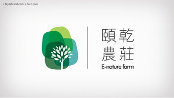 慧目堂品牌策划 解码食品酒饮行业新增长，以策略重塑品牌价值