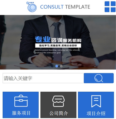 咨询策划网站案例